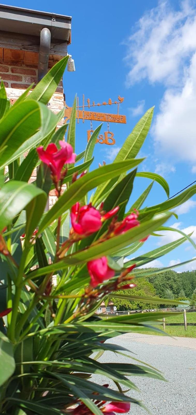 Hof ter Dreef Bed and Breakfast Meise Buitenkant foto