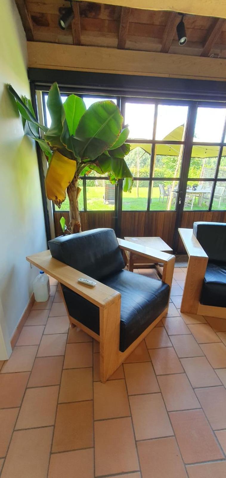 Hof ter Dreef Bed and Breakfast Meise Buitenkant foto